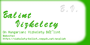 balint vizkelety business card